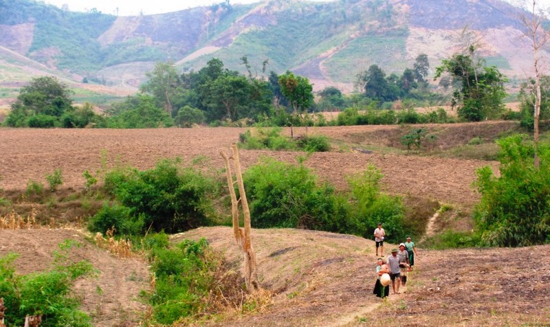 Đất khai hoang, xin cấp quyền sử dụng thế nào