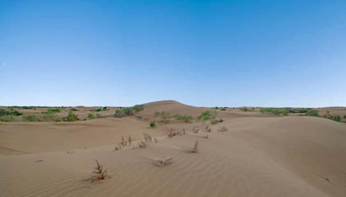 Trung Quốc khởi công dự án điện gió và mặt trời khổng lồ trên sa mạc