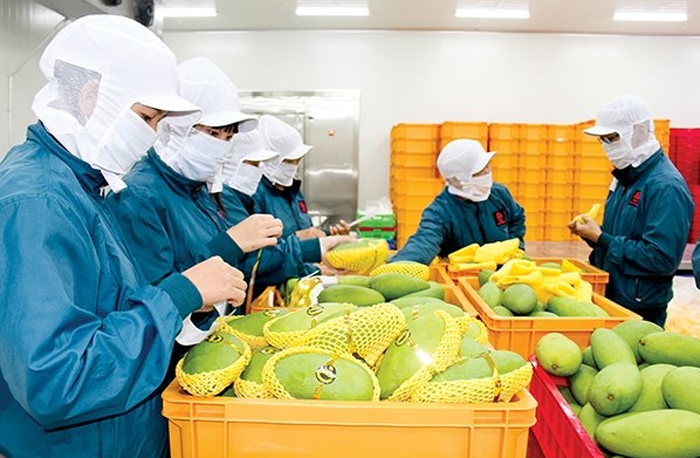 Nông sản Việt hướng mục tiêu 54 tỷ USD xuất khẩu trong năm 2023