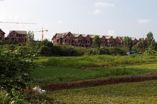 Nhận chuyển nhượng hoặc góp vốn bằng đất nông nghiệp cho dự án nhà ở được không