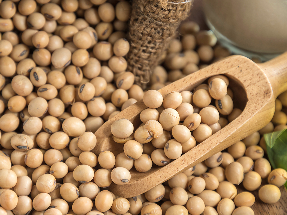 Thị trường hàng hóa tuần qua Sắc đỏ hoàn toàn bao trùm trên bảng giá