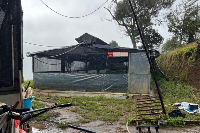 Giấy xác nhận của Công ty cổ phần rượu sâm Ngọc Linh Kon Tum không đúng thực tế