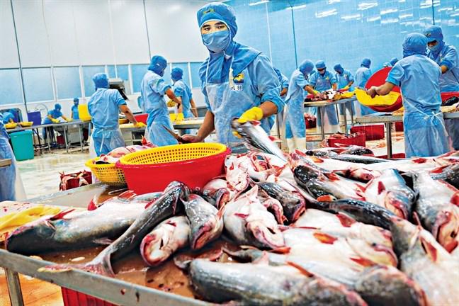 Đối mặt áp lực lạm phát, lợi nhuận ngành thủy sản năm 2023 sẽ ra sao