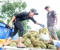 Cửa khẩu thông suốt 9Win 58 đánh bạc trực tuyến Trung Quốc ‘hút’ nông sản Việt 