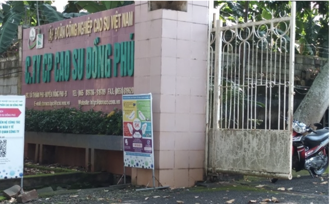 Chuyển cơ quan điều tra làm rõ vi phạm của Cty đấu giá Bắc Trung Nam, tạm hoãn xuất cảnh giám đốc