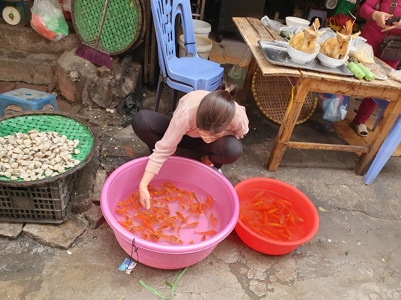 Nhiều mặt hàng phục vụ lễ tiễn ông Công, ông Táo đắt khách