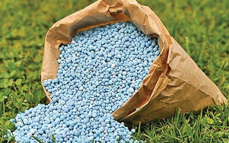 Giá phân bón năm 2023 được dự báo ra sao