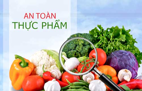Bình Thuận đẩy mạnh xây dựng chuỗi cung ứng thực phẩm an toàn
