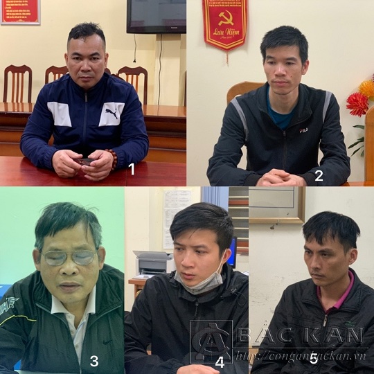 Khởi tố Giám đốc, phó Giám đốc và 3 nhân viên Công ty cổ phần đăng kiểm Bắc Kạn - 9701D