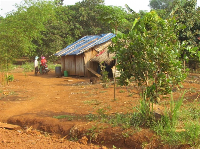 Ngăn chặn tình trạng cầm cố, bán đất canh tác vùng đồng bào dân tộc thiểu số tại Bình Phước