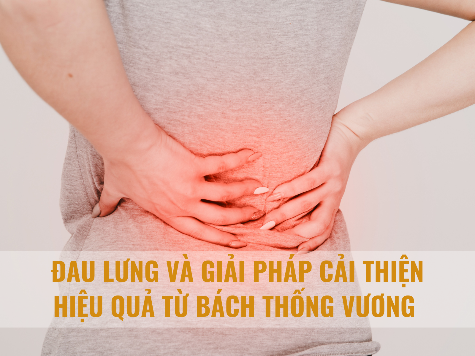 Đau lưng và giải pháp giúp cải thiện hiệu quả từ Bách Thống Vương