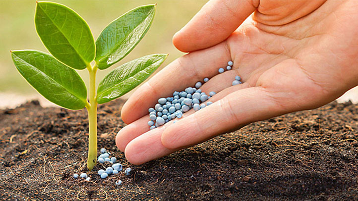 Đề xuất đưa phân bón vào diện chịu thuế VAT