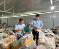 Tình hình buôn lậu gian lận thương mại và hàng giả vẫn diễn ra phức tạp và tinh vi 