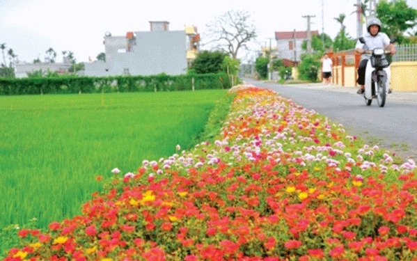 Làng thông minh - Mục tiêu mới trong xây dựng nông thôn mới