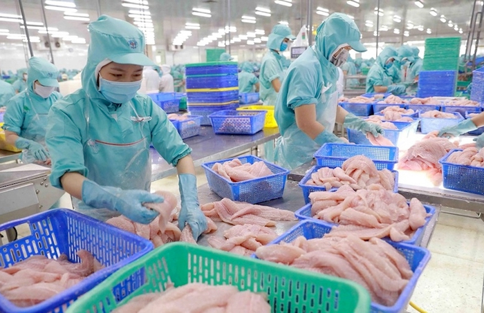 Xuất khẩu thủy sản đang phục hồi trở lại