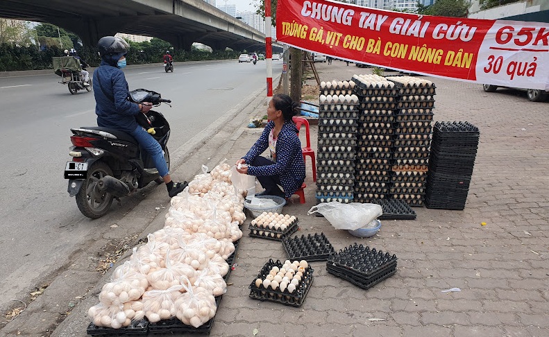 Khuyến cáo người tiêu dùng không mua trứng gà gắn mác giải cứu trên vỉa hè
