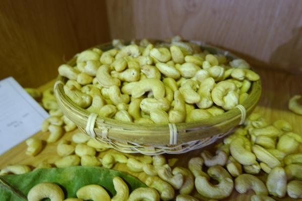 Chủ trương giảm lượng, tăng chất, ngành điều đặt mục tiêu xuất khẩu 3,1 tỷ USD trong năm 2023