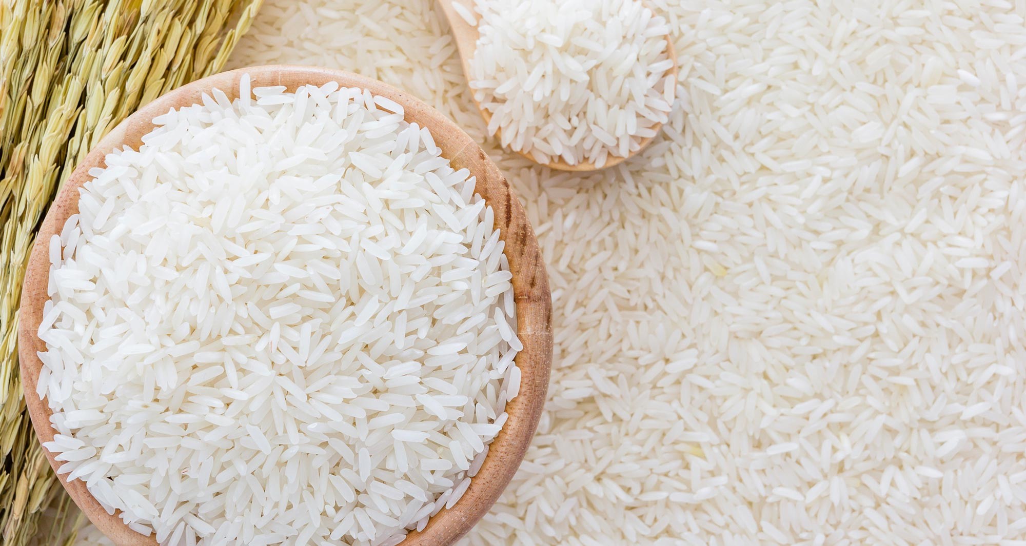 Giá lúa gạo hôm nay 8/3: Thị trường chững lại, giá đi ngang