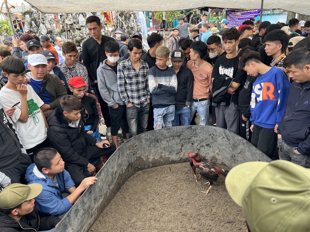 Công an Hà Nội trả lời về thông tin sới gà biến tướng tại các lễ hội