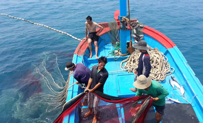 Chuyển đổi một số nghề khai thác hải sản ảnh hưởng đến nguồn lợi và môi trường sinh thái