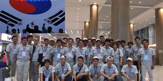 Dừng tuyển lao động sang Hàn Quốc đối với 8 huyện, thành phố
