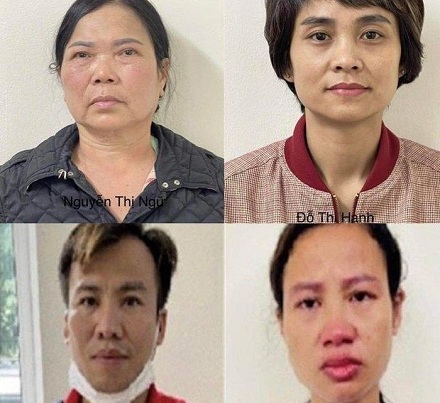  Khởi tố 4 bị can trong vụ án nâng khống giá trị cây xanh trồng ở Hà Nội