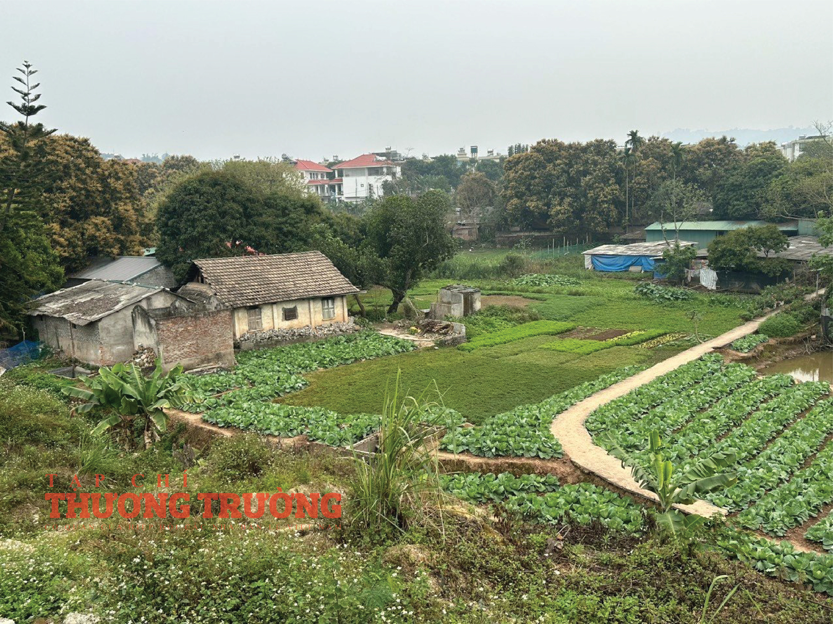Bài 1 - Tiểu khu đô thị số 3 ‘Ao tù’ giữa thành phố Lào Cai