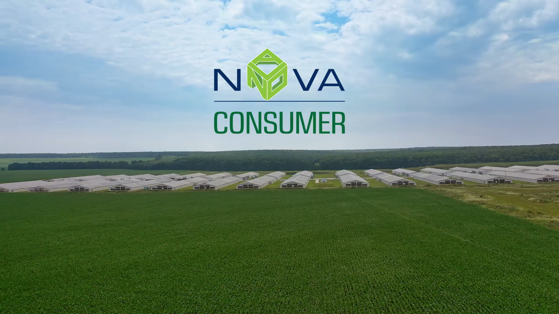 Nova Consumer (NCG) Dự kiến giảm 70% lợi nhuận, chuyển nhượng trang trại gà