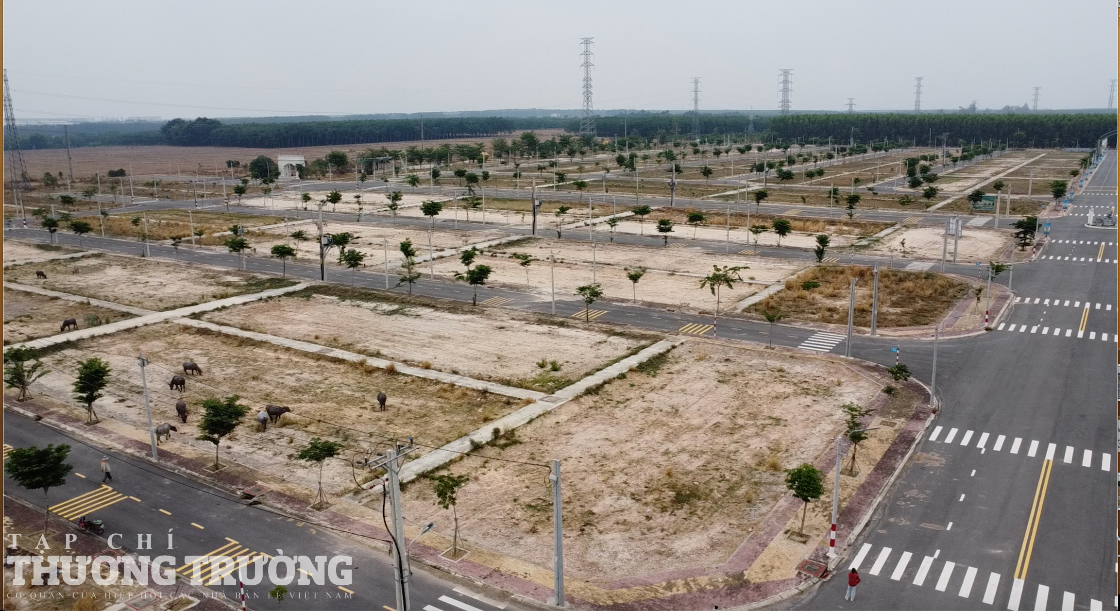 Ảnh Hàng loạt dự án đất nền ở Bình Dương trống trơ không một bóng người
