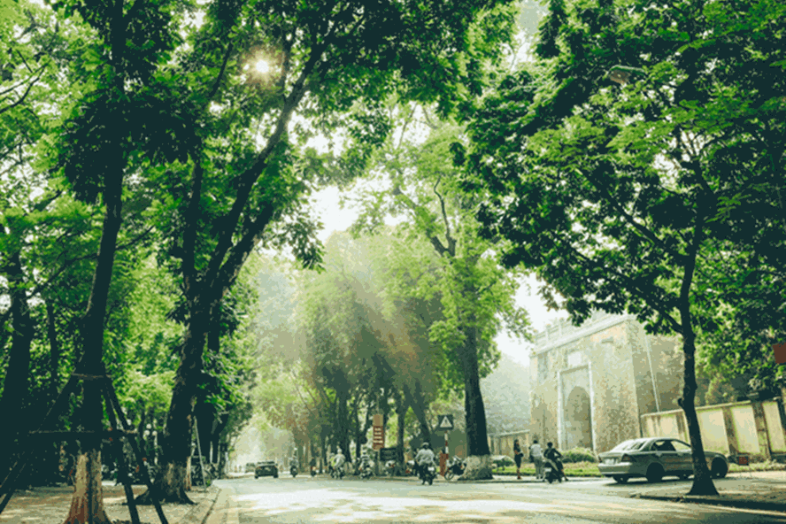 Dự báo thời tiết đêm nay và ngày mai 034 Hà Nội và các khu vực trên cả nước