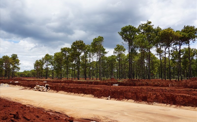 Diễn biến mới tại dự án sân golf Đak Đoa của Tập đoàn FLC ở Gia Lai