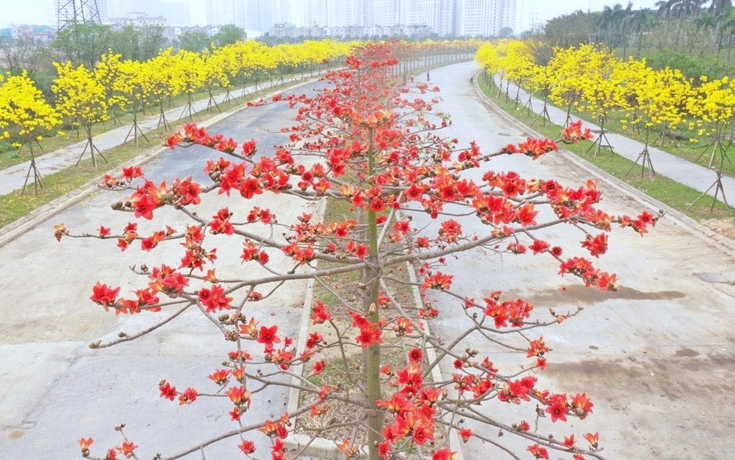 Thành lập Hội đồng thẩm định Quy hoạch hệ thống đô thị và nông thôn