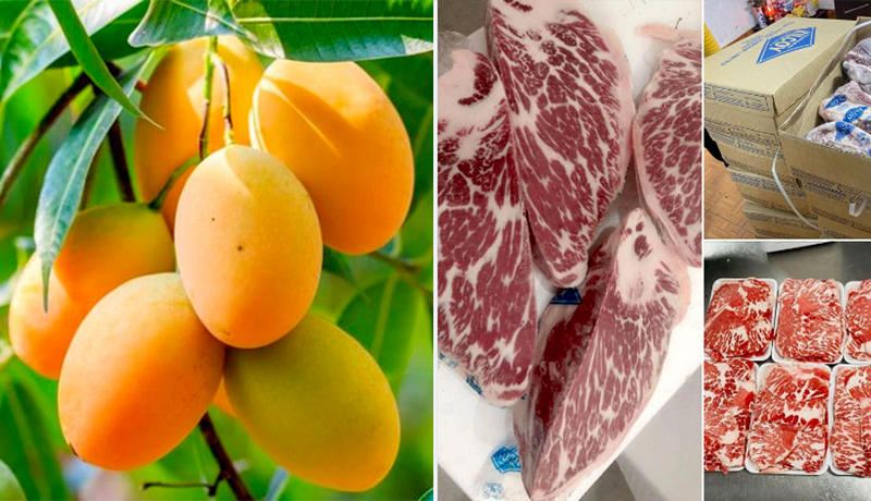 Xoài cát Hòa Lộc lại rớt giá, trong khi thịt bò đông lạnh nhập khẩu loạn giá, vì sao