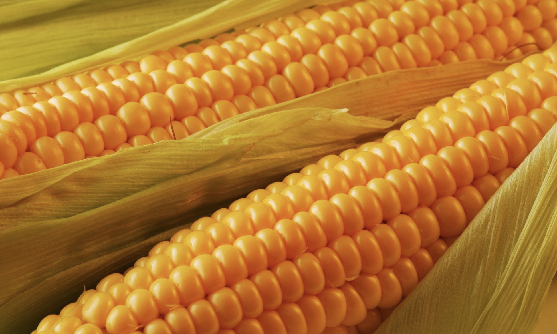 Thị trường hàng hóa 174 Giá ngô dẫn dắt đà tăng của thị trường nông sản