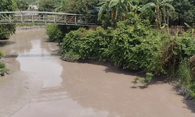 Đồng Nai Công ty CP xây dựng công trình giao thông 610 bị xử phạt do vi phạm về môi trường