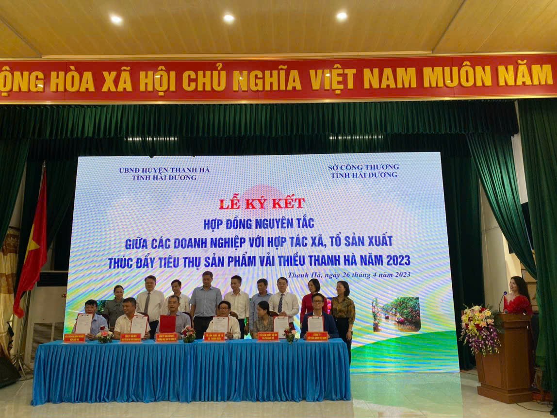 Hải Dương tổ chức hội nghị xúc tiến tiêu thụ vải thiều Thanh Hà năm 2023