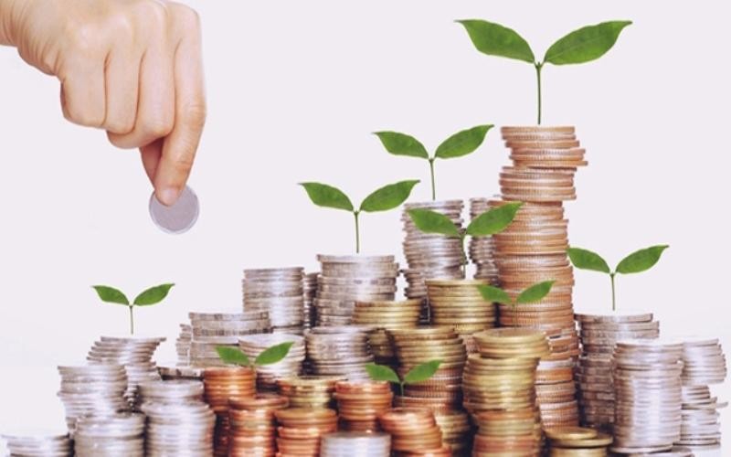 15 doanh nghiệp trả cổ tức bằng tiền tuần từ 15 - 55