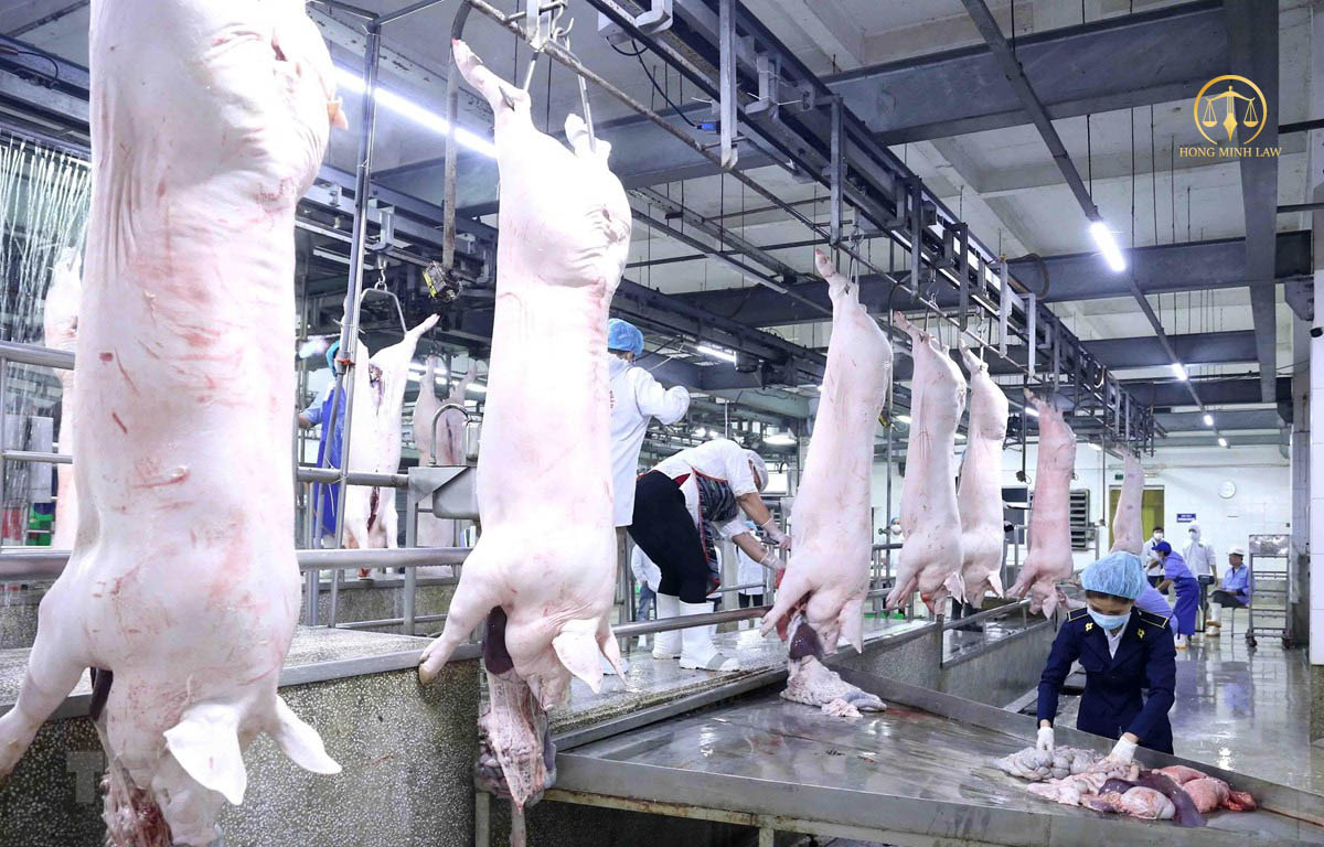 Đề xuất sửa quy định giết mổ từ 10 con lợn phải xin giấy phép môi trường