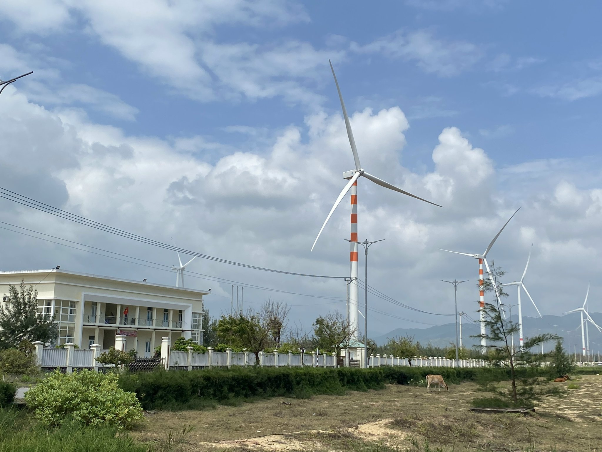 EVN phê duyệt giá mua tạm thời Nhà máy điện gió Nam Bình 1 và Viên An