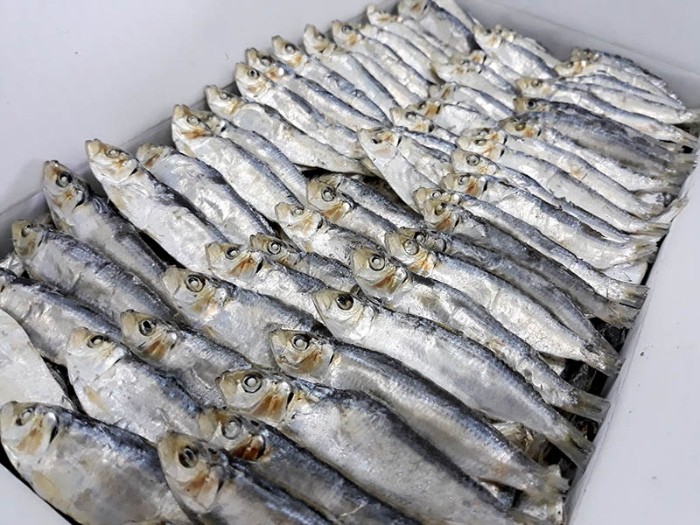 Xuất khẩu cá khô là điểm sáng trong bức tranh thủy sản Việt