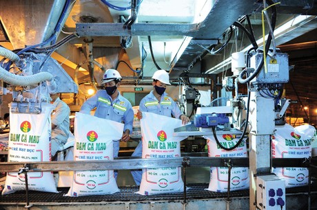 Giá urê vẫn giảm tiếp, yếu tố nào hỗ trợ cổ phiếu phân bón