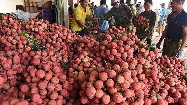 Đẩy mạnh xúc tiến tiêu thụ quả vải, nhãn