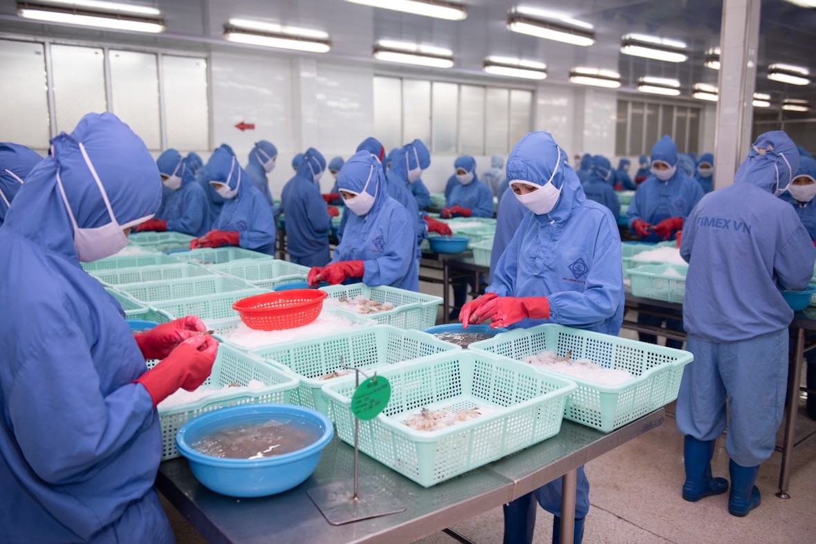 Thực phẩm Sao Ta (FMC) Doanh thu giảm sâu 44% so với cùng kỳ