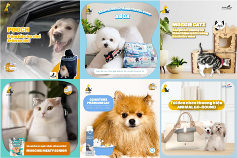 Hãy để chúng tôi chăm sóc thú cưng của bạn bằng các sản phẩm đến từ Thái Lan