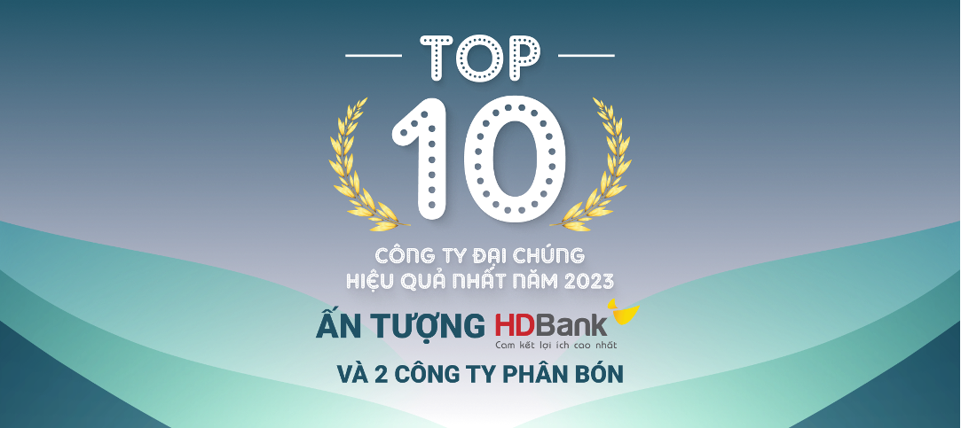 TOP 10 công ty đại chúng hiệu quả nhất năm 2023 Ấn tượng HDBank, Đạm Phú Mỹ và Hóa chất Đức Giang