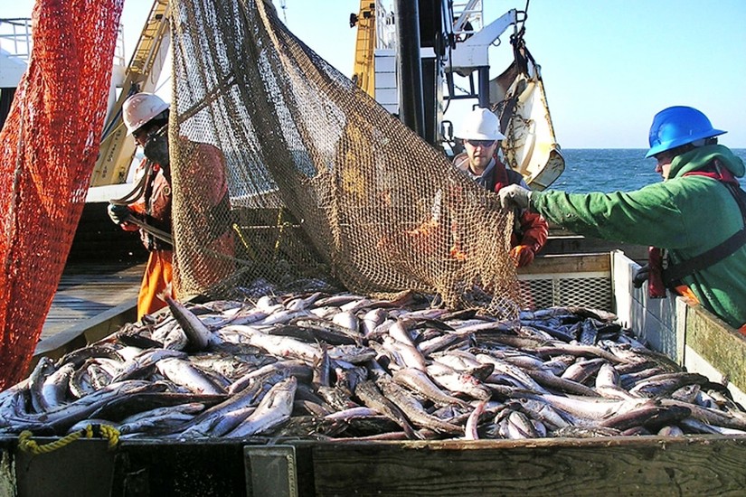 Nhiều yếu tố cản trở đà phục hồi ngành thủy sản