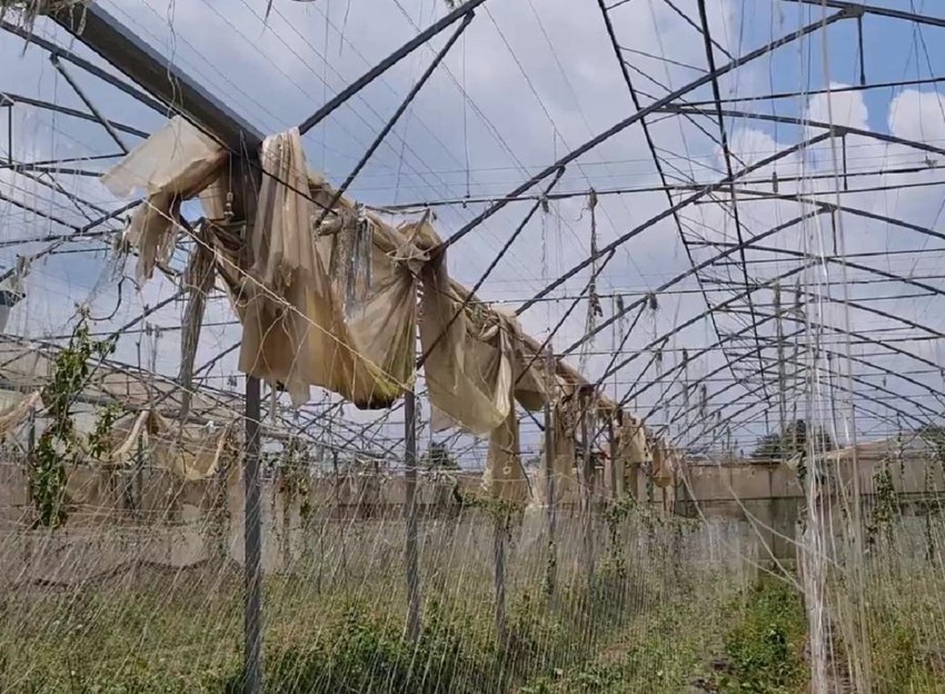 Đồng Nai chuyển hồ sơ công an điều sai phạm tại 2 dự án do Sở KH-CN làm chủ đầu tư