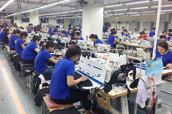 Tổng Giám đốc TNG muốn mua 1 triệu cổ phiếu