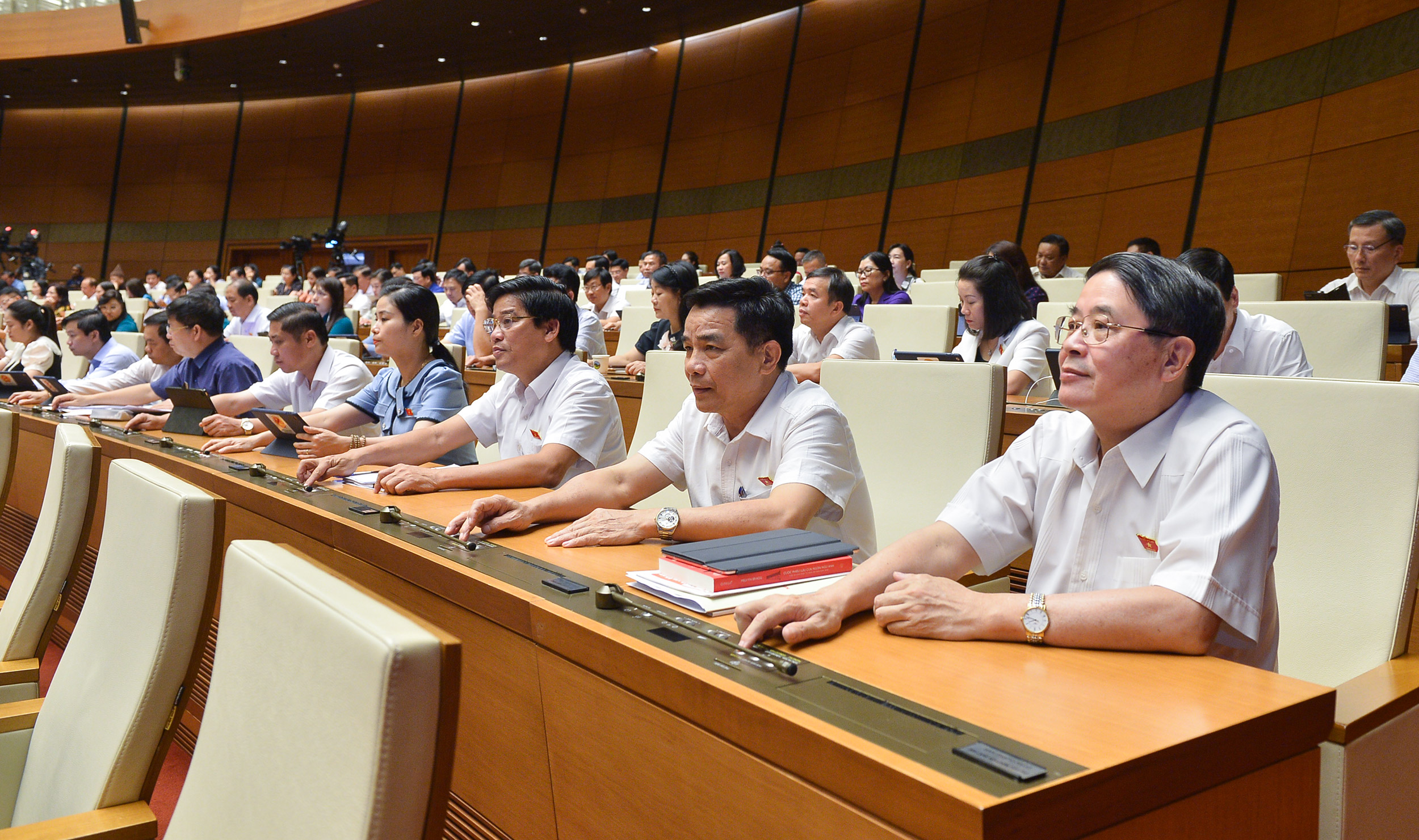 Quốc hội quyết định thành lập hai đoàn giám sát về chương trình phục hồi và bất động sản