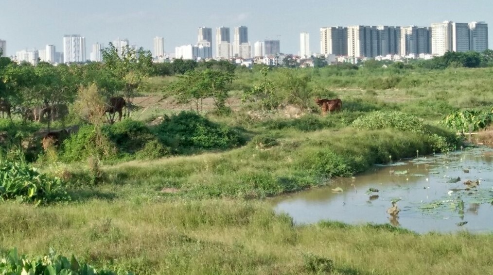 Hà Nội tiếp tục xử lý dứt điểm 293 dự án chậm triển khai trong năm 2023